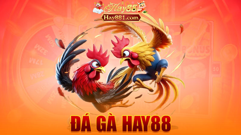 Đá gà Hay88: Đặt đúng trận – trúng là ăn đậm như Tết