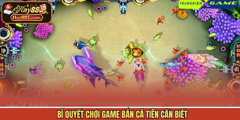 Bí quyết chơi game bắn cá tiên cần biết
