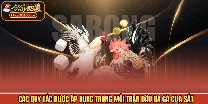 Các quy tắc được áp dụng trong mỗi trận đấu đá gà cựa sắt