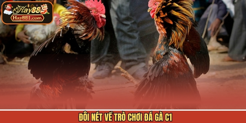 Đôi nét về trò chơi đá gà C1
