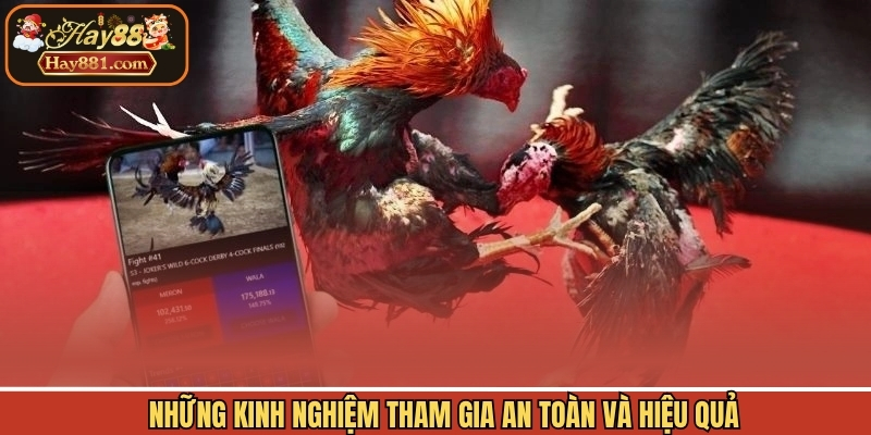 Những kinh nghiệm tham gia an toàn và hiệu quả